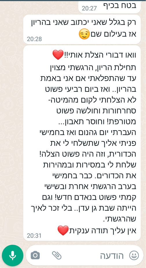 ⁦כדורית כח, ברזל, אנרגיה⁩ – תמונה ⁦10⁩