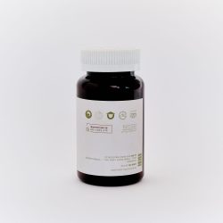 ⁦כדורית לכח ואנרגיה⁩ – תמונה ⁦3⁩