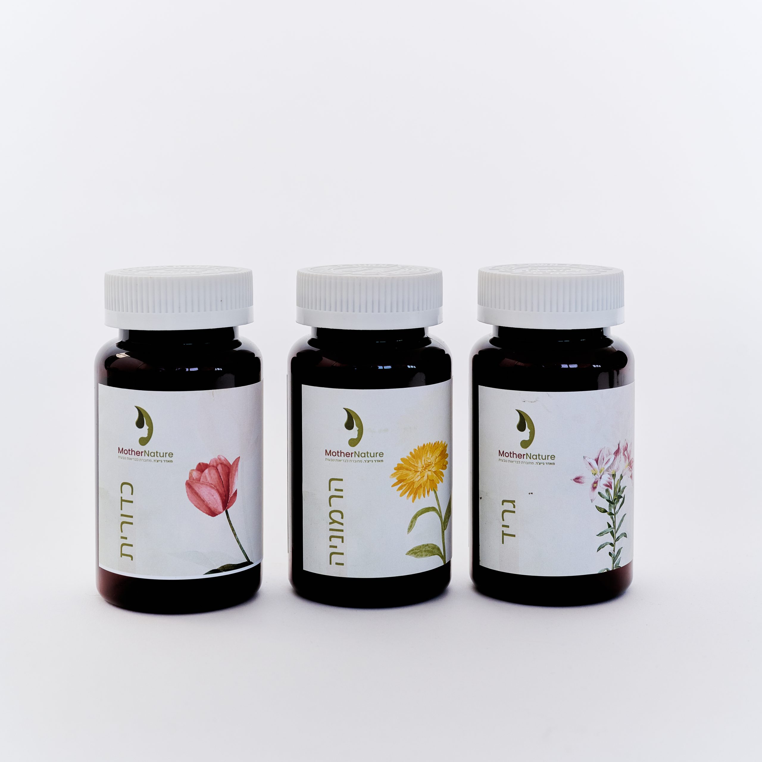 dvori-26-6153566 חבילת הפוריות לקליטת הריון – תמונה 1