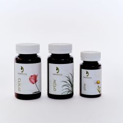 חבילת התמיכה להריון כח-בחילות-טחורים